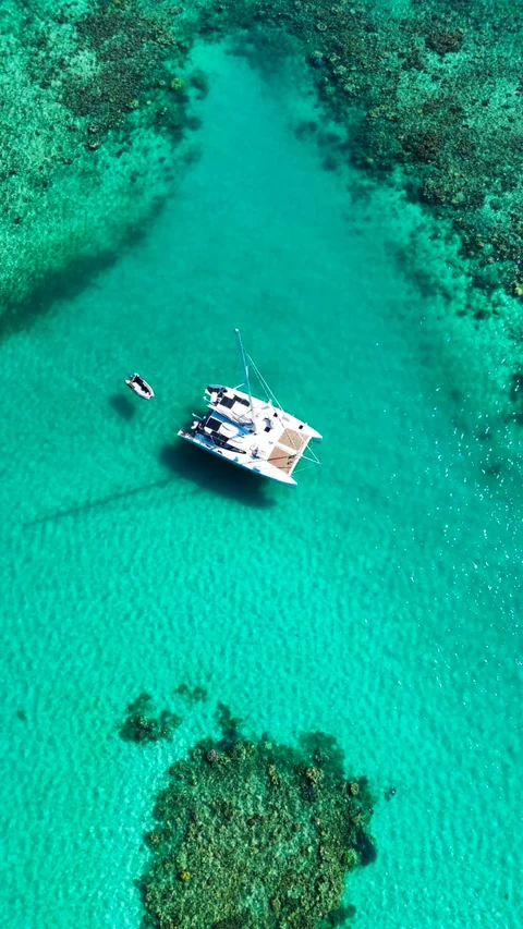 Liquid Desire over the reef