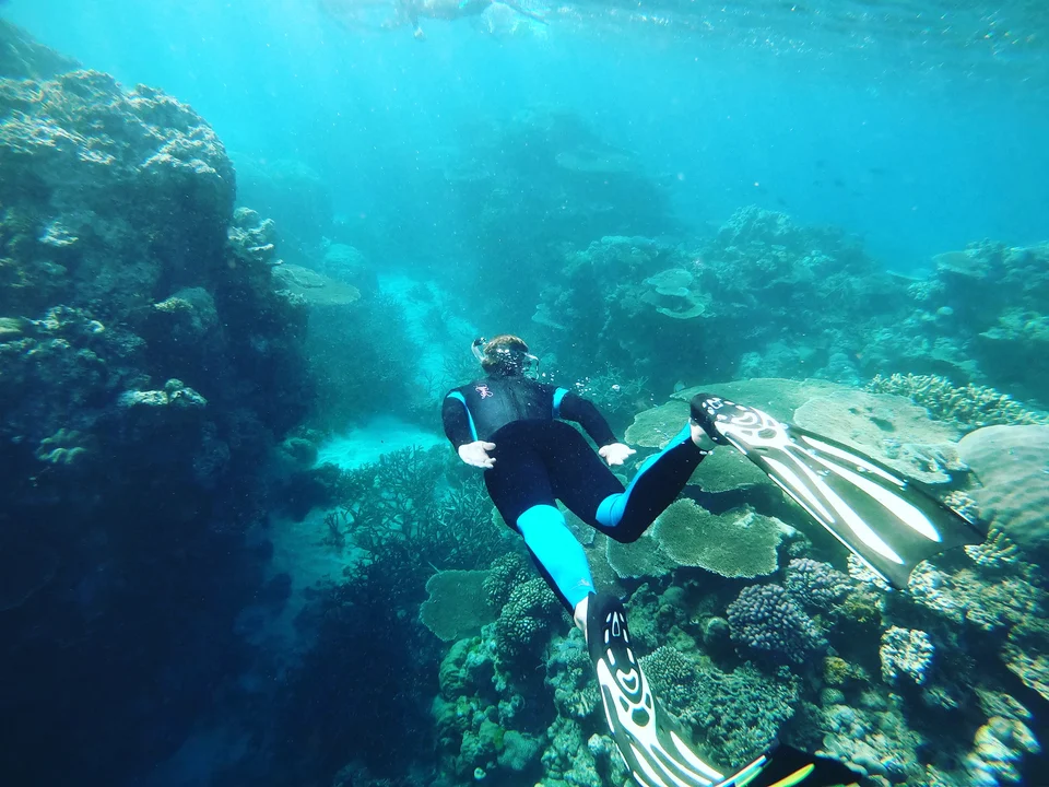 A snorkeller exploring the coral