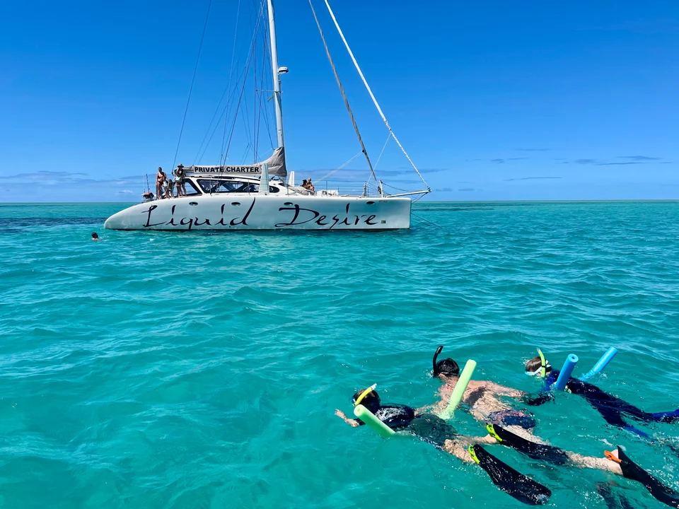 Snorkellers beside Liquid Desire in clear reef water