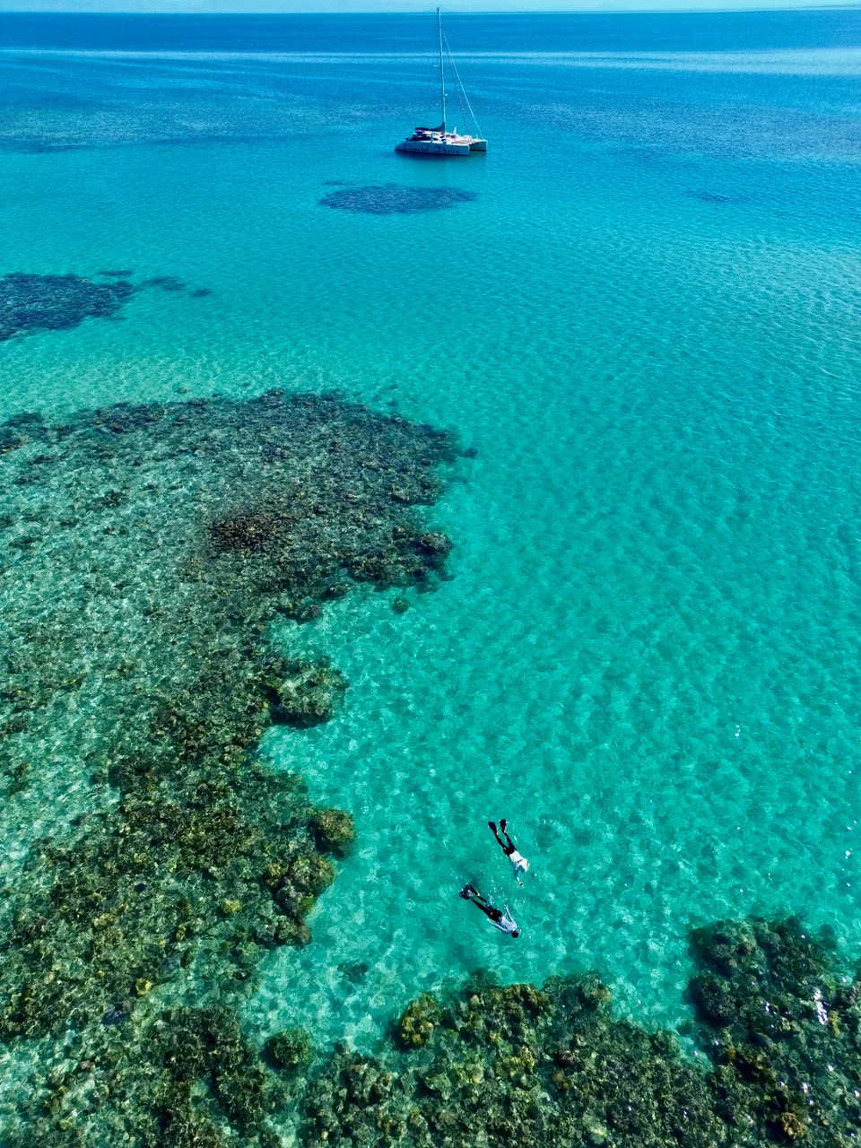Coral gardens seen from above