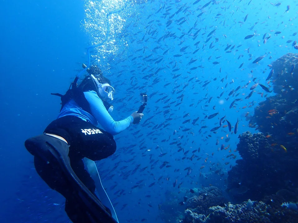 Snorkelling alongside a school of fish