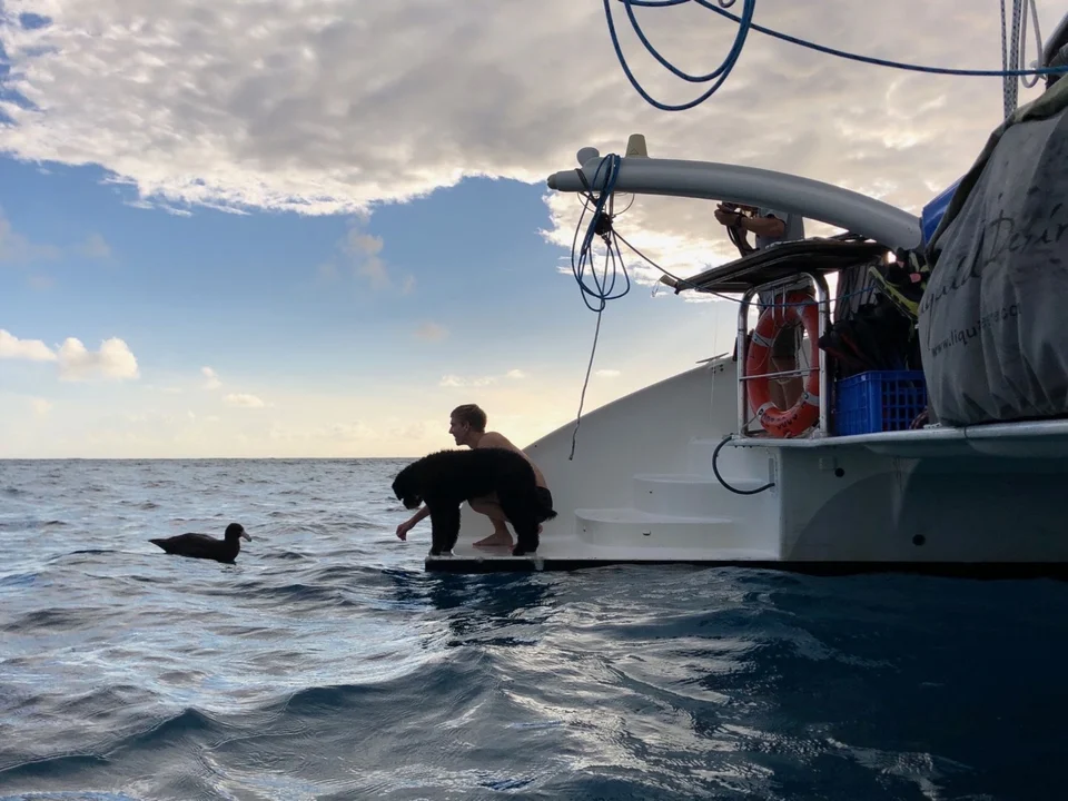 A swimmer with the dog beside the yacht