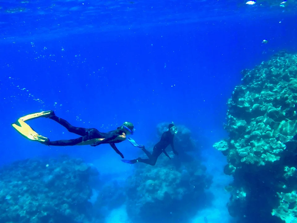 Snorkellers diving over the reef