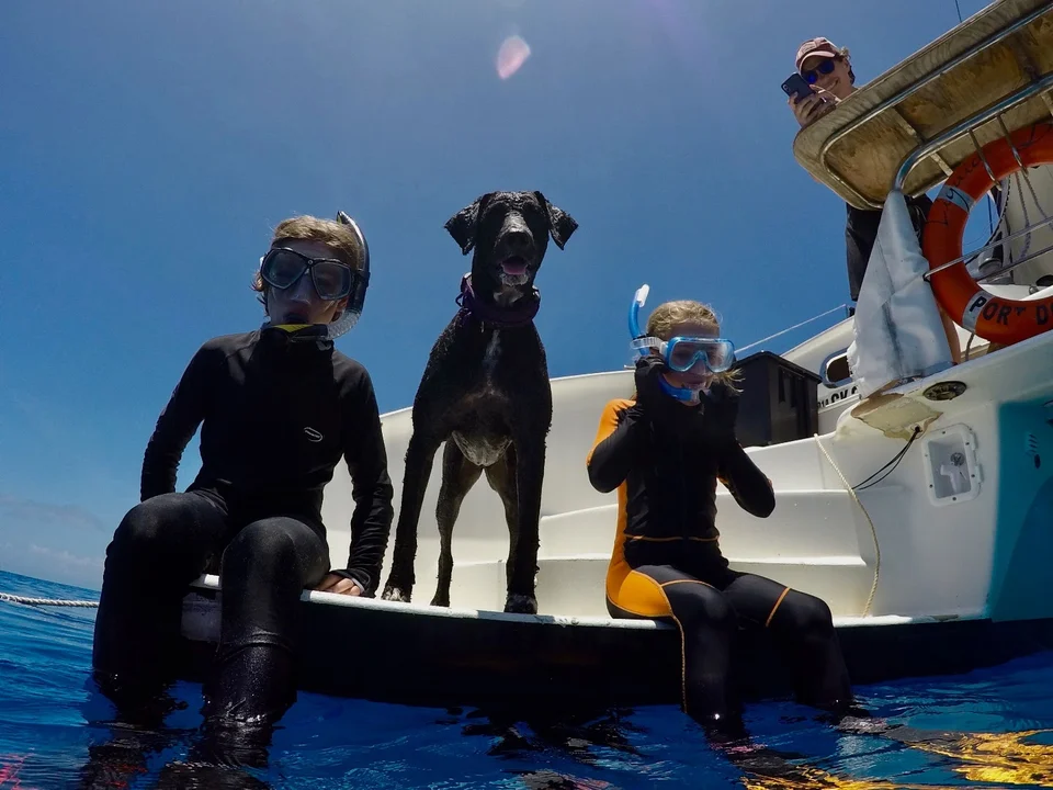 Guests in wetsuits with the dog