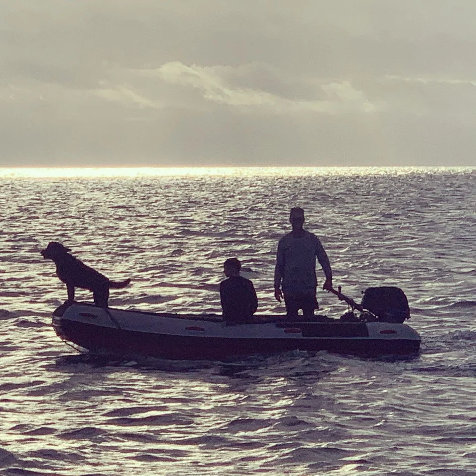 Guests and the dog in a dinghy at sunset