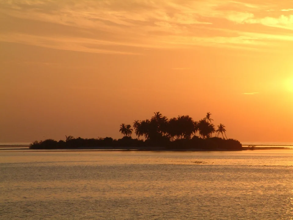 Sunset behind a palm-covered island