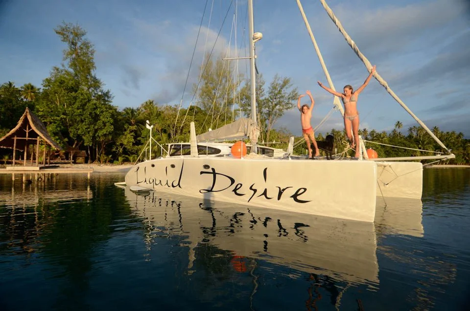 Guests on the bow beside a palm-lined shore