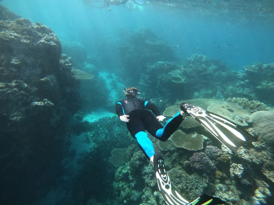 A snorkeller diving toward the coral