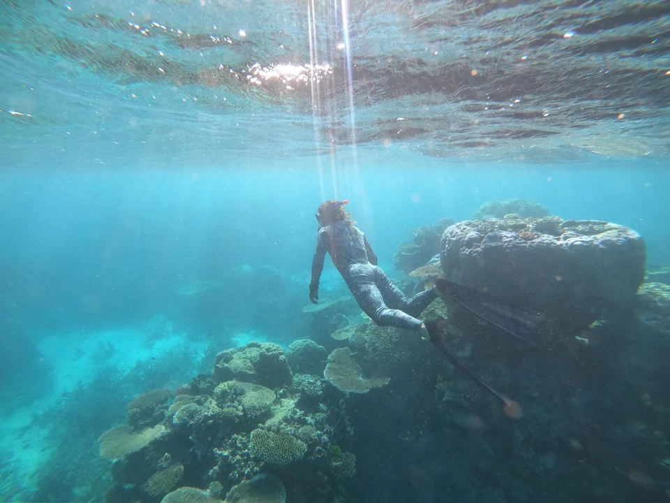 A swimmer beside an underwater rock