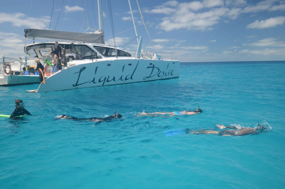Snorkellers beside Liquid Desire