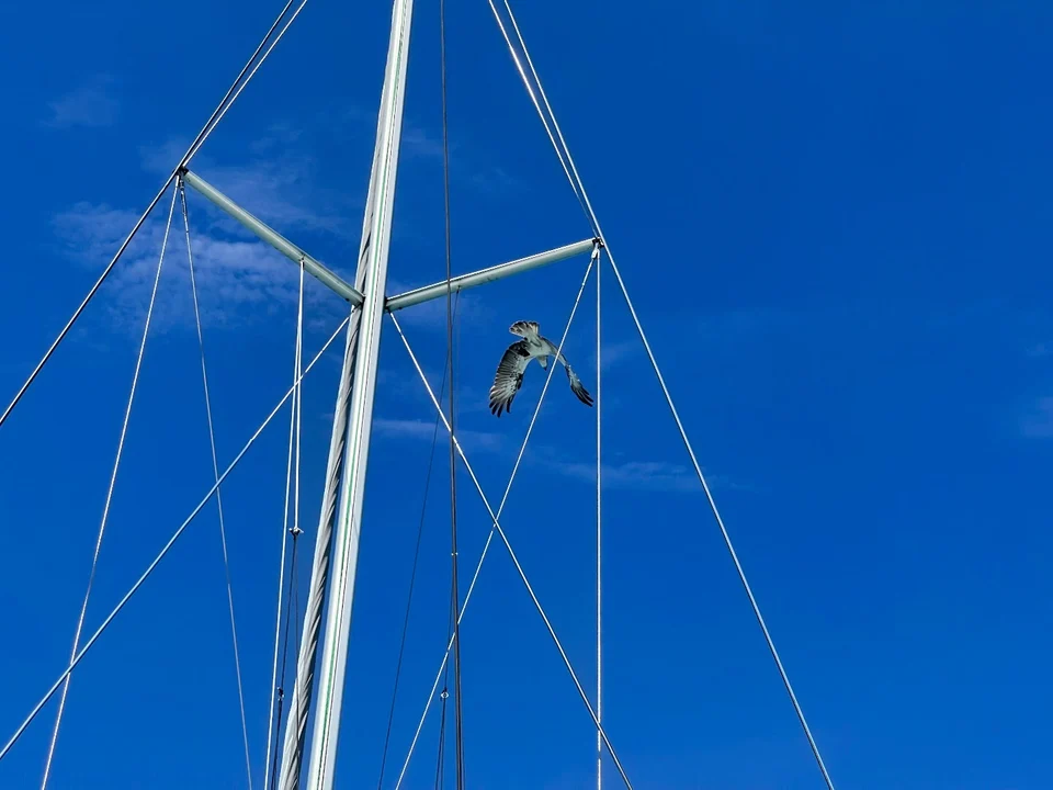 Looking up the mast into blue sky